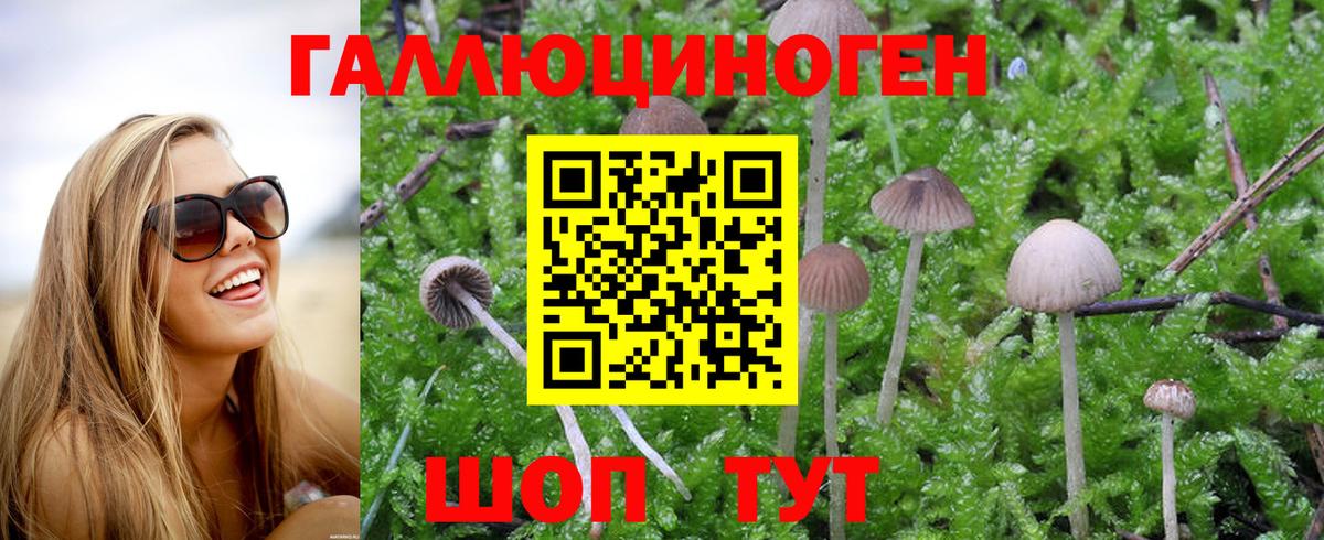Павлово  Псилоцибиновые грибы GOLDEN TEACHER  Вход с VPN  Галлюциногенные грибы мухоморы 