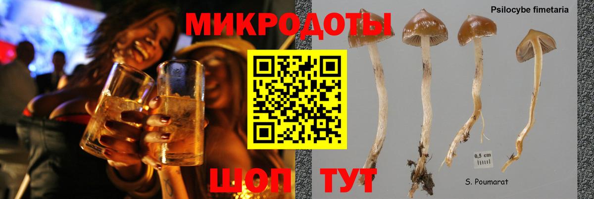 Галлюциногенные грибы MAGIC MUSHROOMS Павлово